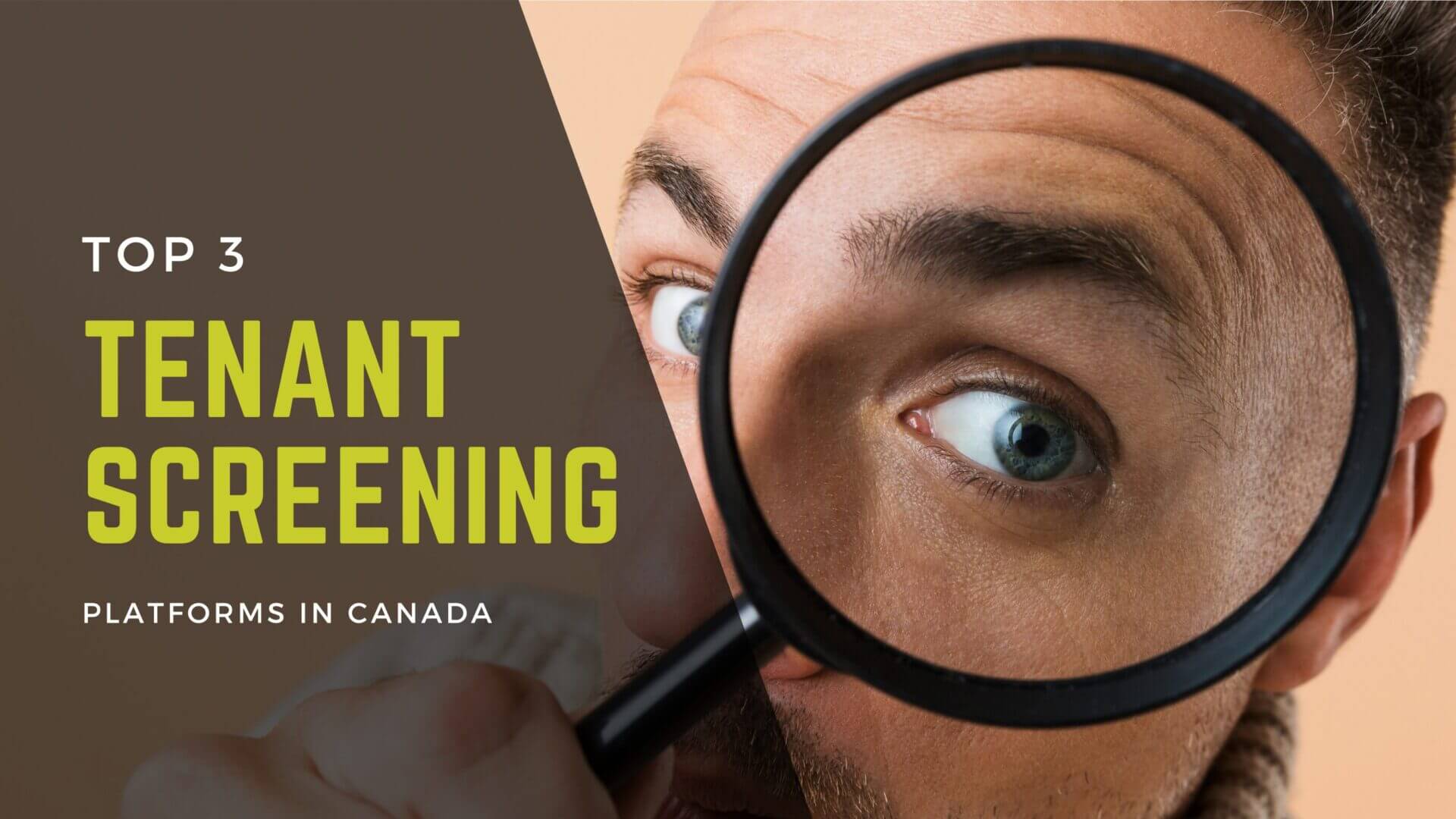 Top 3 Tenant Screening Platforms in Canada