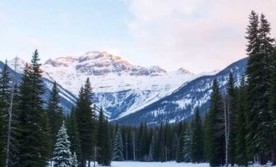 5 Essential Tips for Booking Winter Stays in Canada